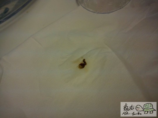 HELP~~!龟龟屙血问题 - 水龟-疾病保健讨论 香