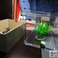 我的相冊