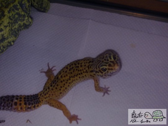 她好可愛嫁>.<""