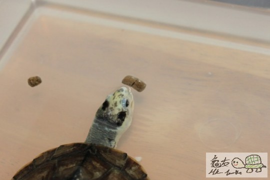 森林 (640x427).jpg