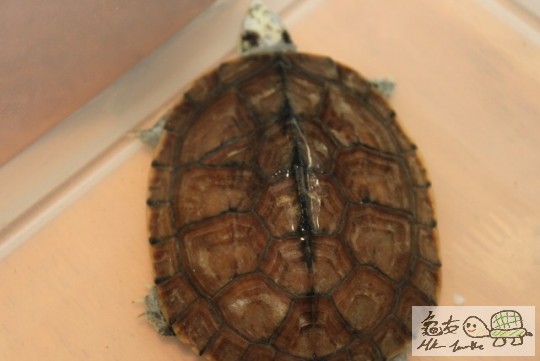 IMG_0209 (640x427).jpg