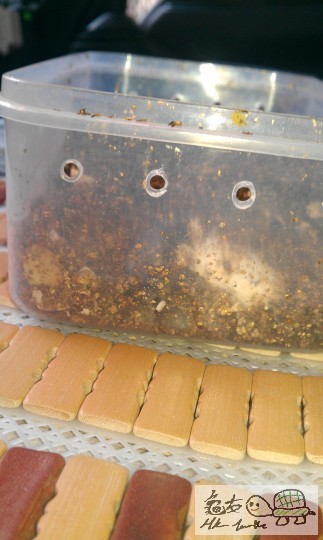 IMAG0222.jpg