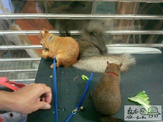 300176_10150275068117283_697087282_8214118_3697225_n (1).jpg