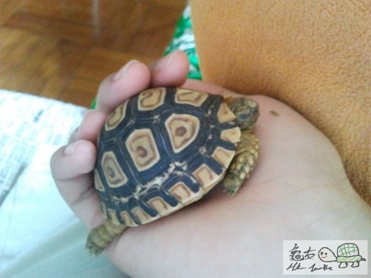 2011-08-30 11.45.25.jpg