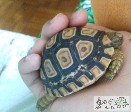 2011-08-30 11.45.25-1.jpg