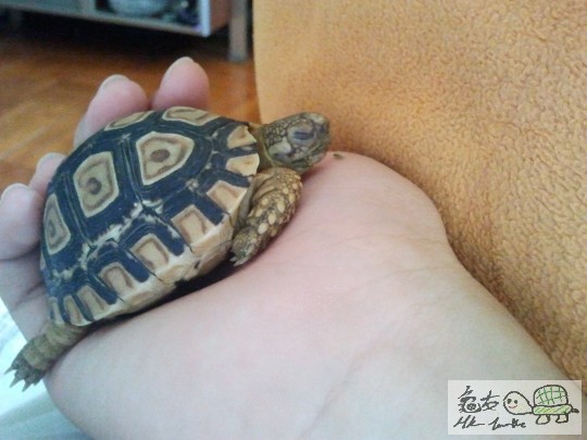 2011-08-30 11.45.33.jpg