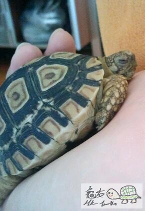 2011-08-30 11.45.49-1.jpg