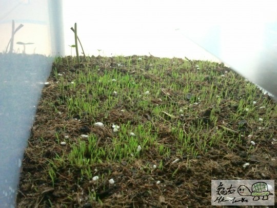 2011-08-30 13.13.36.jpg