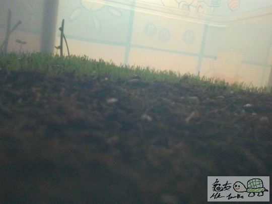 2011-08-30 13.13.48.jpg