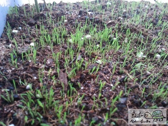 2011-08-30 13.14.08.jpg