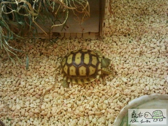 2011-08-30 13.17.02.jpg