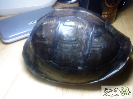 DSC00124.JPG