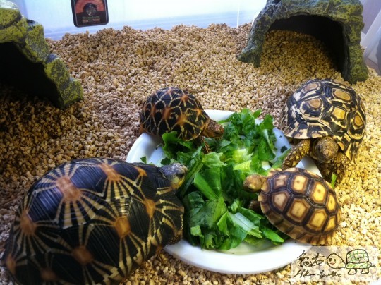 照片-10 22-11-24.JPG