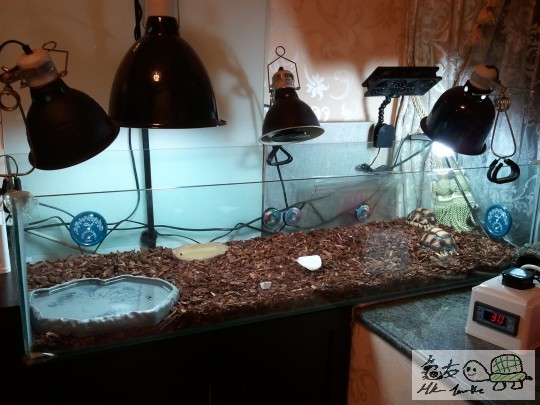 2011-09-07 00.43.47.jpg