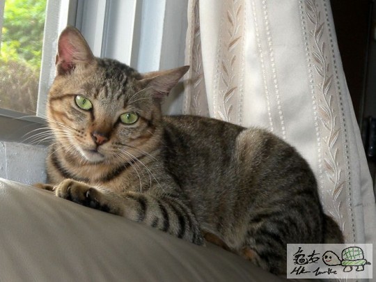 照片110709 005.jpg