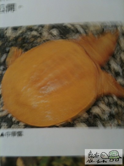 照片 605.jpg