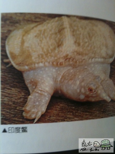 照片 606.jpg