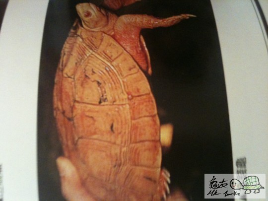 照片 607.jpg
