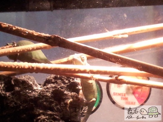 2011-09-23 06.22.44.jpg