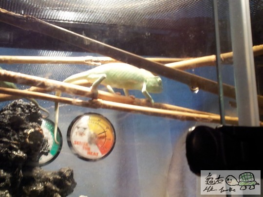 2011-09-23 06.25.43.jpg