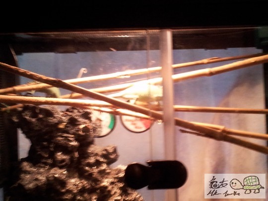 2011-09-23 06.27.16.jpg