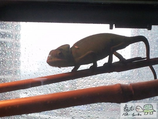 2011-09-23 09.22.49.jpg