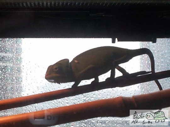 2011-09-23 09.22.54.jpg