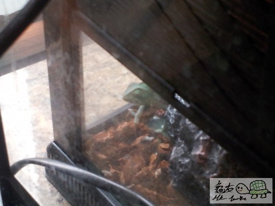 2011-09-23 09.23.23.jpg