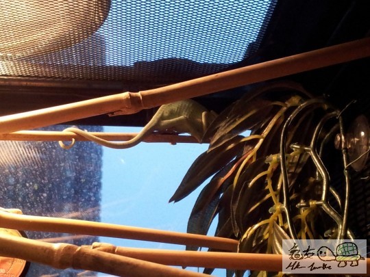 2011-09-24 18.17.12.jpg