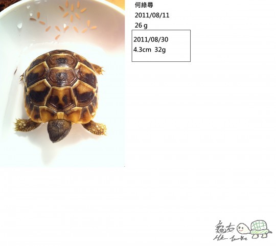 Photo 11-8-11 20 00 58.jpeg