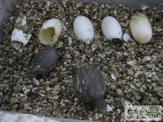 照片 677.jpg