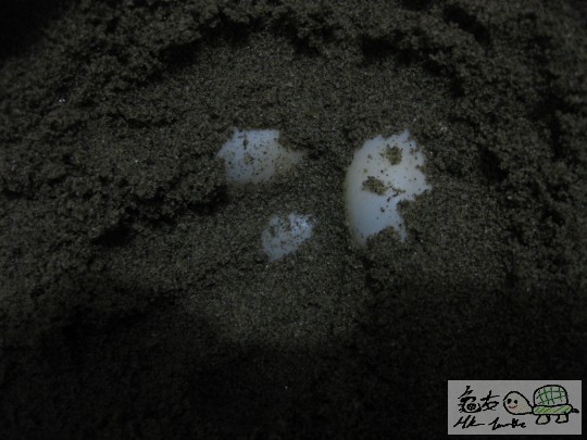 照片 537.jpg