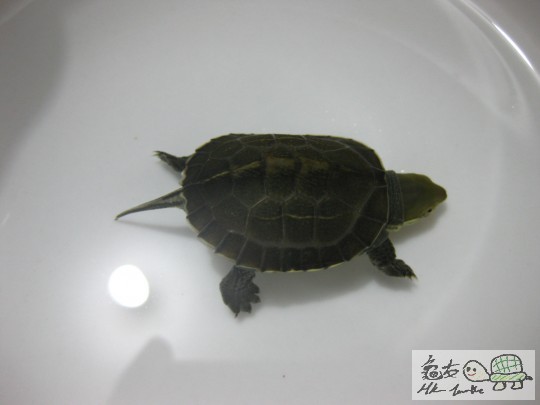 照片 641.jpg