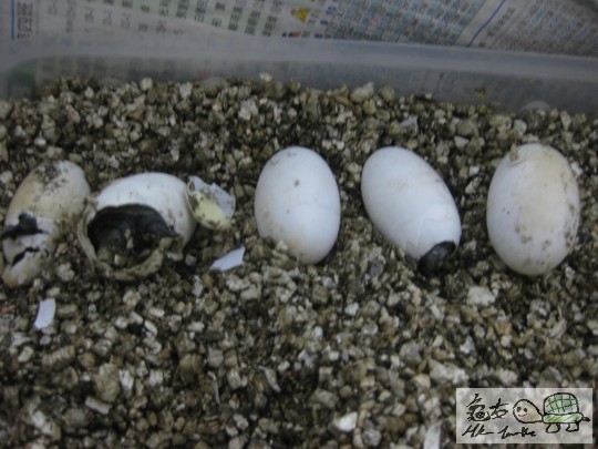 照片 673.jpg