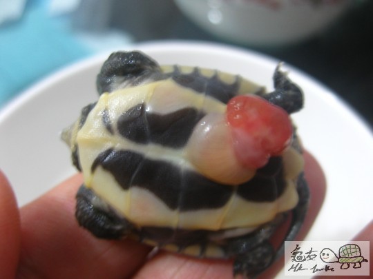 照片 659.jpg