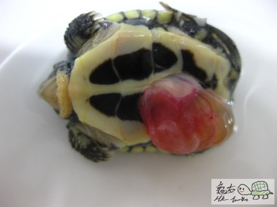 照片 765.jpg
