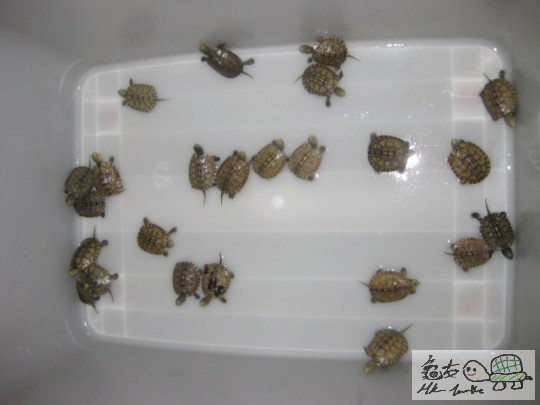 照片 1249.jpg