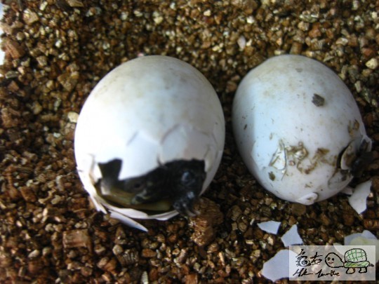 照片 799.jpg