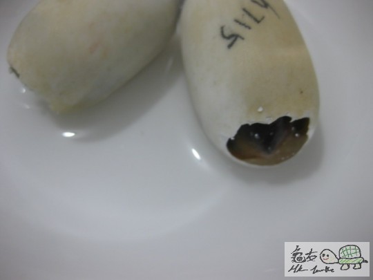 照片 1268.jpg