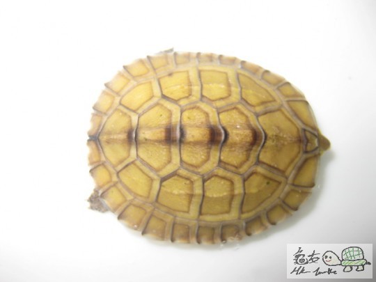 照片 1209.jpg