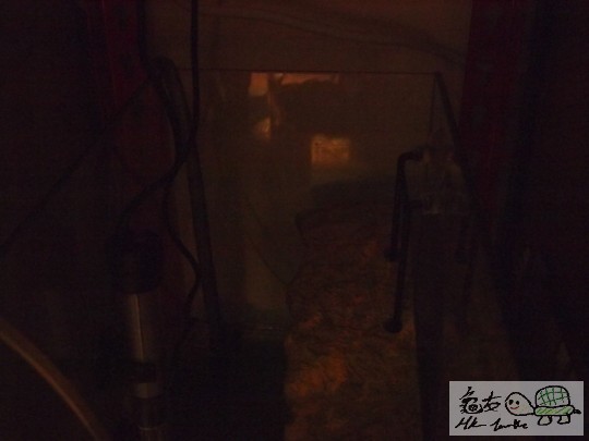 PA292215.JPG