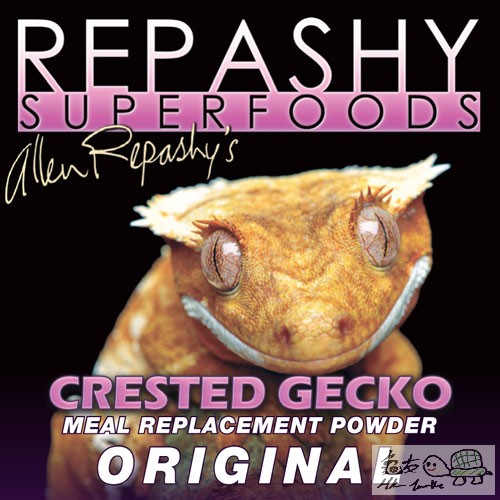 Crested-Gecko-MRP-Original.jpg