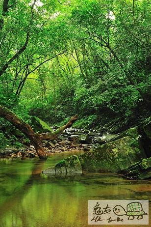溪流.......jpg