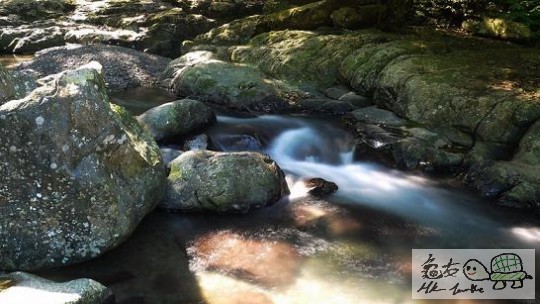 溪流...........jpg