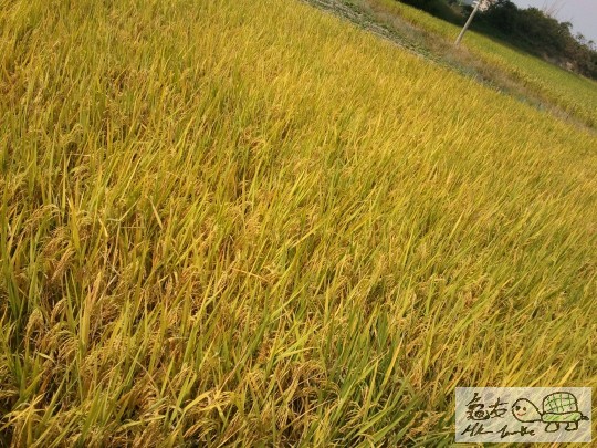 2011-10-31 13.22.53.jpg