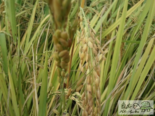 2011-10-31 13.21.51.jpg