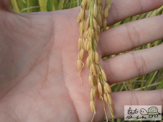 2011-10-31 13.27.10.jpg