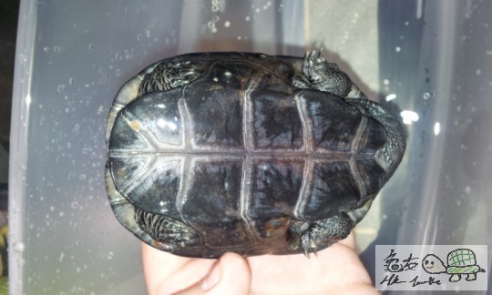 2011-11-13 08.52.44.jpg