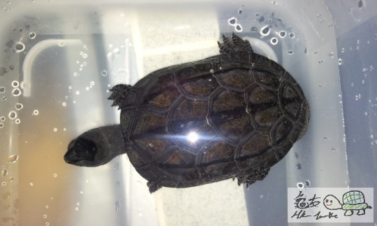 2011-11-13 08.52.17.jpg