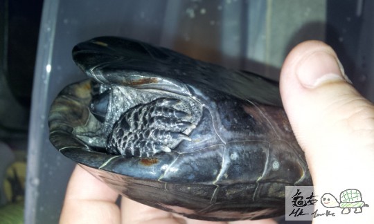 2011-11-13 08.53.10.jpg